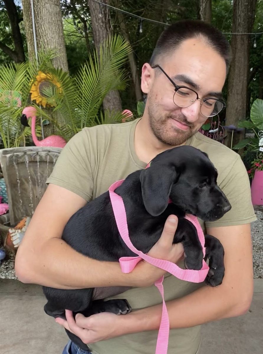 Animal rescue